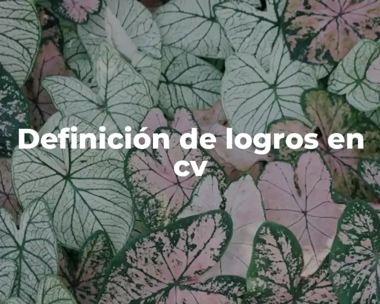 Definición de logros en cv