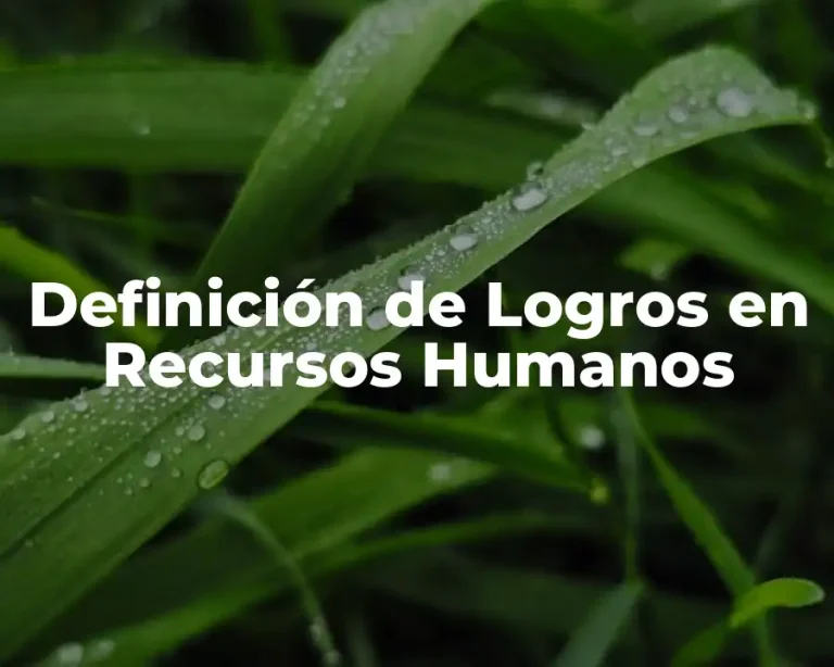 Definición de Logros en Recursos Humanos