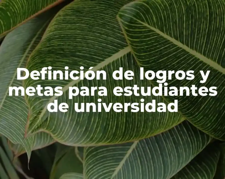 Definición de logros y metas para estudiantes de universidad