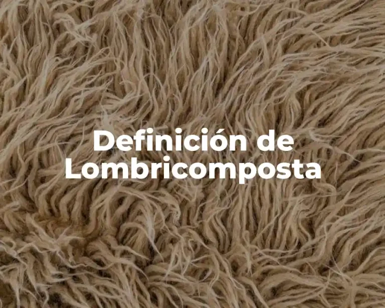 Definición de Lombricomposta