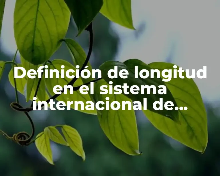 Definición de longitud en el sistema internacional de unidades