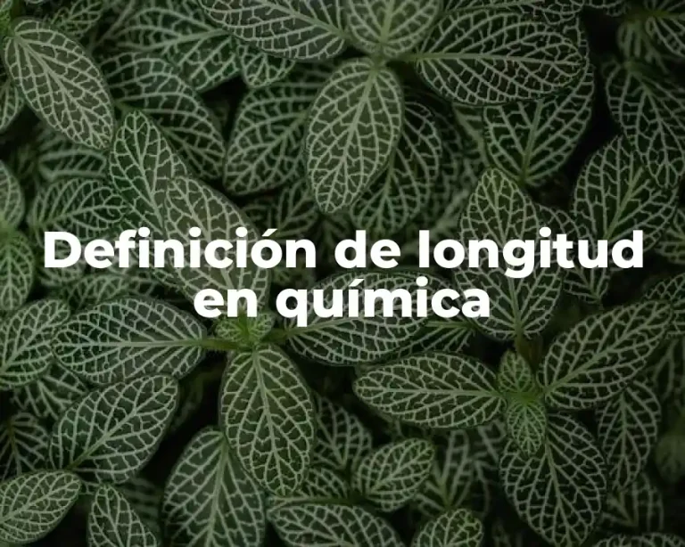 Definición de longitud en química