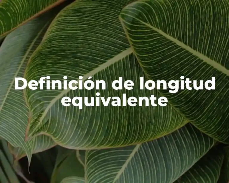 Definición de longitud equivalente