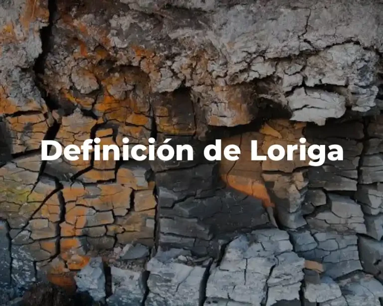 Definición de Loriga