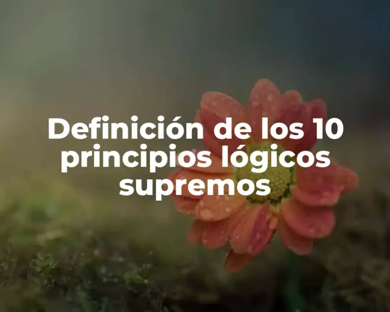 Definición de los 10 principios lógicos supremos