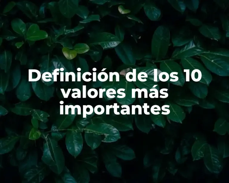 Definición de los 10 valores más importantes