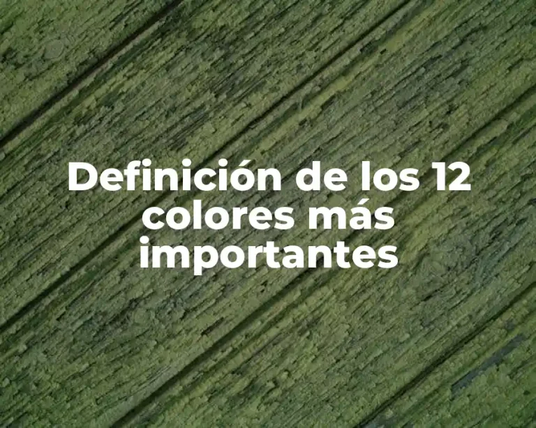 Definición de los 12 colores más importantes