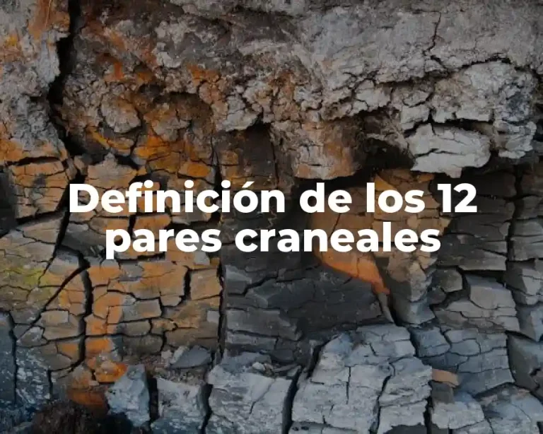 Definición de los 12 pares craneales