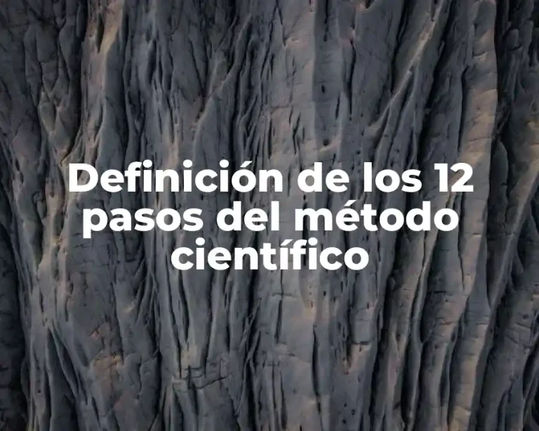 Definición de los 12 pasos del método científico