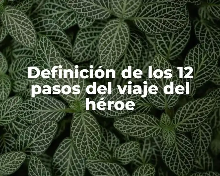 Definición de los 12 pasos del viaje del héroe