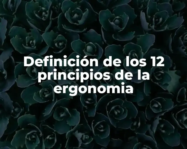 Definición de los 12 principios de la ergonomia