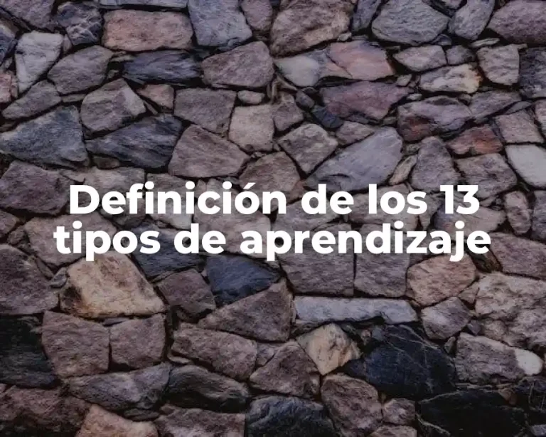 Definición de los 13 tipos de aprendizaje