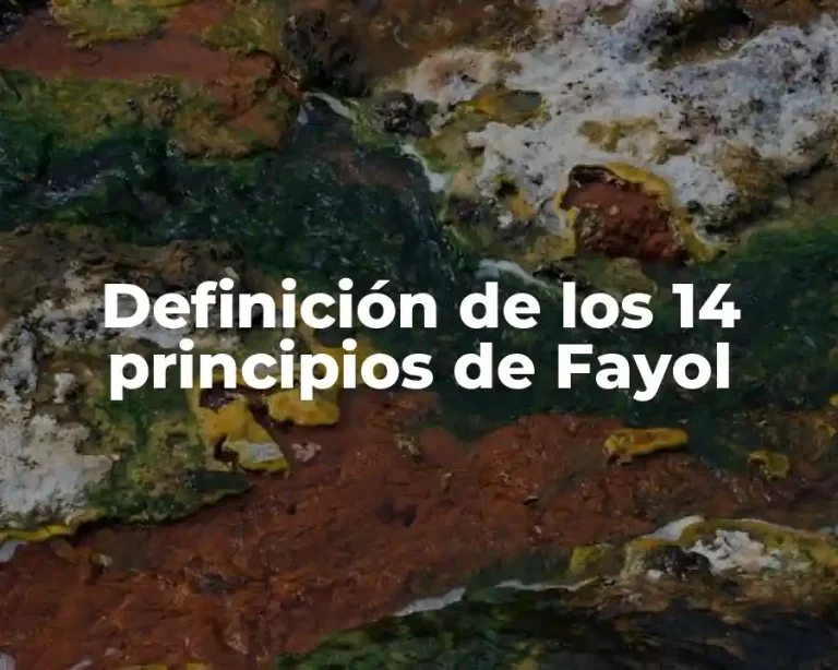 Definición de los 14 principios de Fayol
