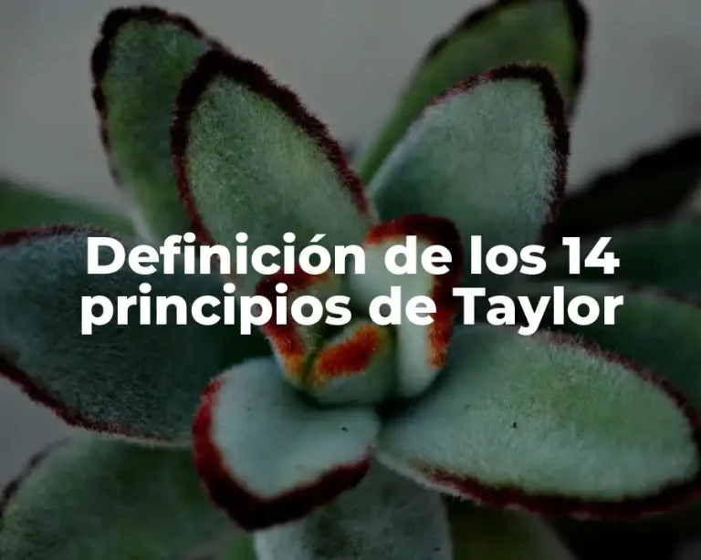 Definición de los 14 principios de Taylor