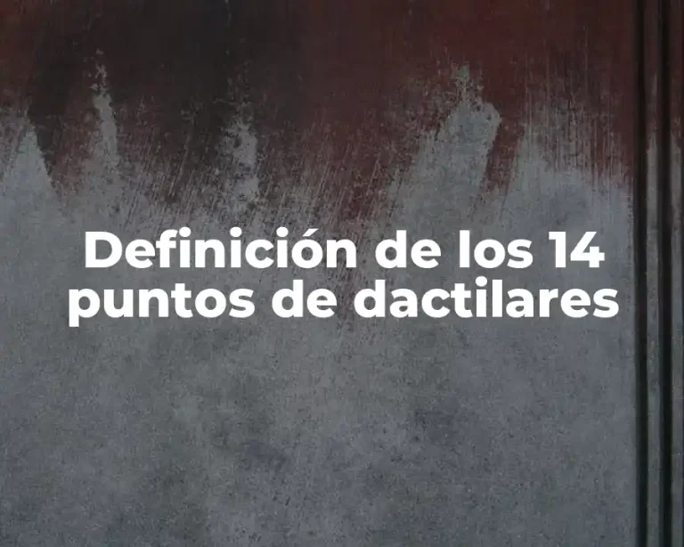 Definición de los 14 puntos de dactilares