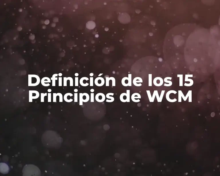 Definición de los 15 Principios de WCM