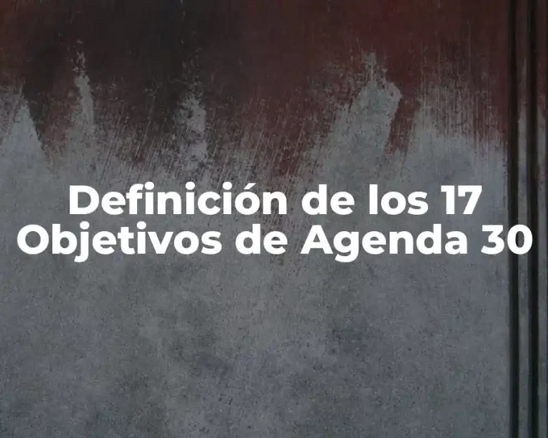 Definición de los 17 Objetivos de Agenda 30