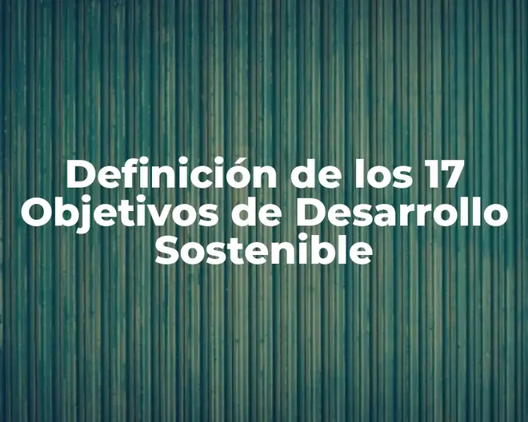 Definición de los 17 Objetivos de Desarrollo Sostenible