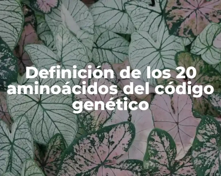 Definición de los 20 aminoácidos del código genético