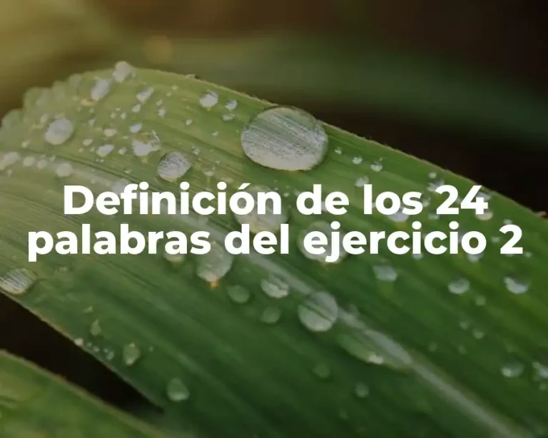 Definición de los 24 palabras del ejercicio 2