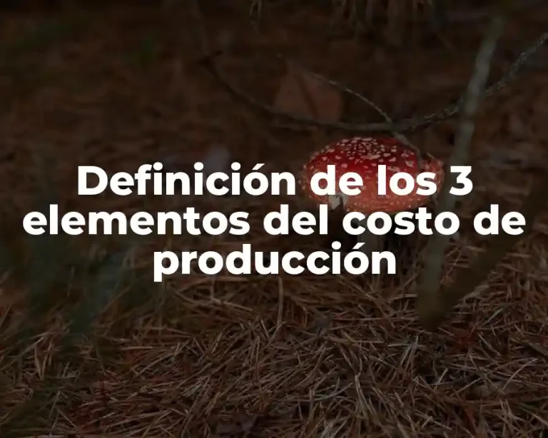 Definición de los 3 elementos del costo de producción