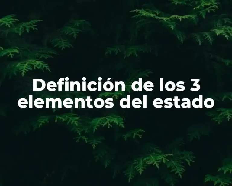 Definición de los 3 elementos del estado