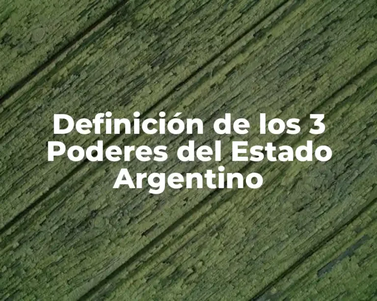 Definición de los 3 Poderes del Estado Argentino