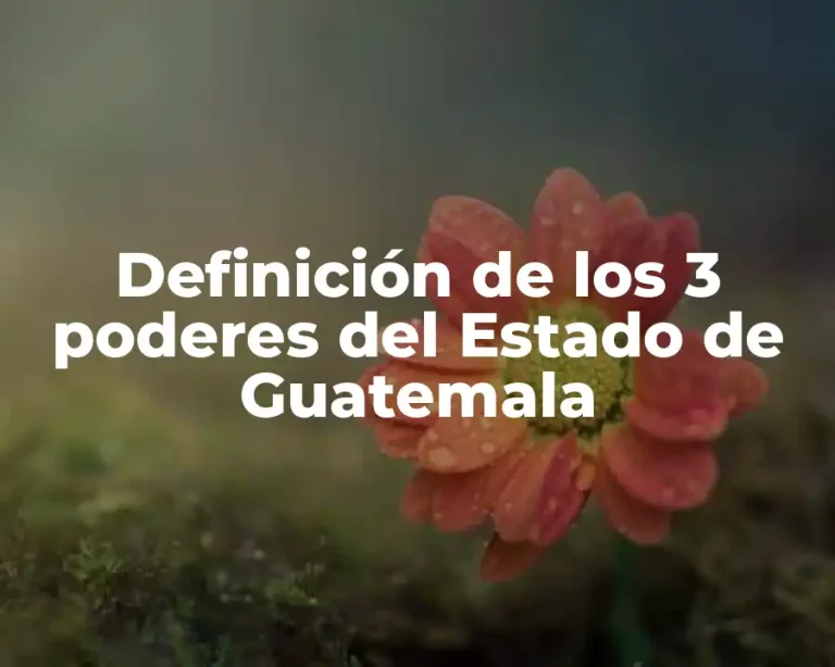Definición de los 3 poderes del Estado de Guatemala