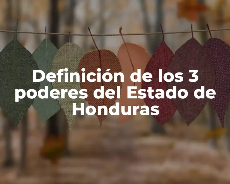 Definición de los 3 poderes del Estado de Honduras