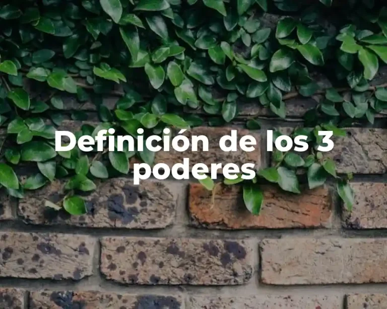 Definición de los 3 poderes