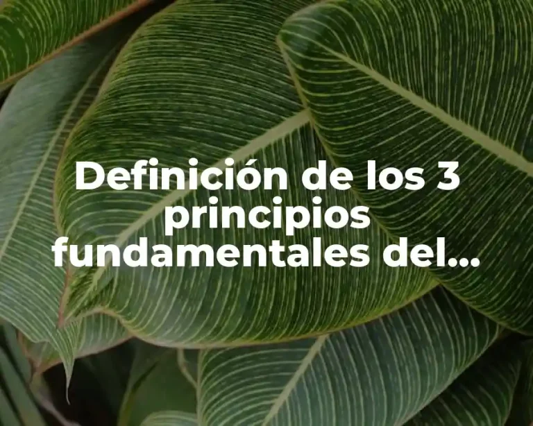Definición de los 3 principios fundamentales del derecho
