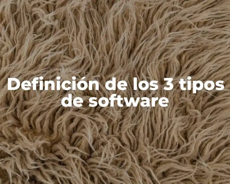Definición de los 3 tipos de software