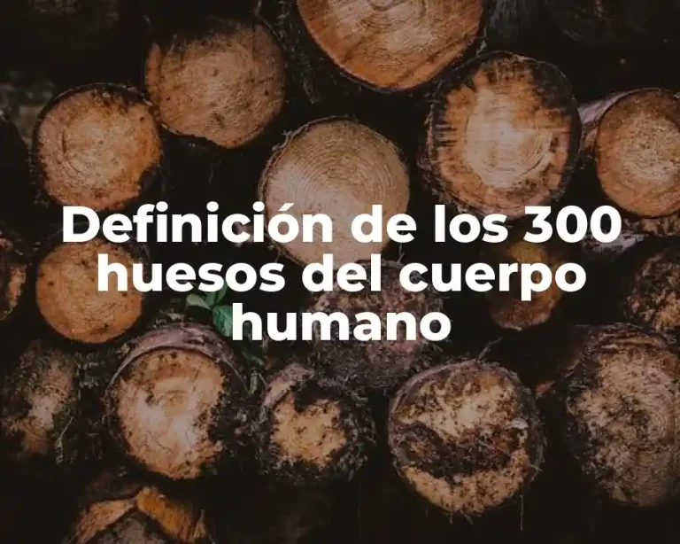 Definición de los 300 huesos del cuerpo humano