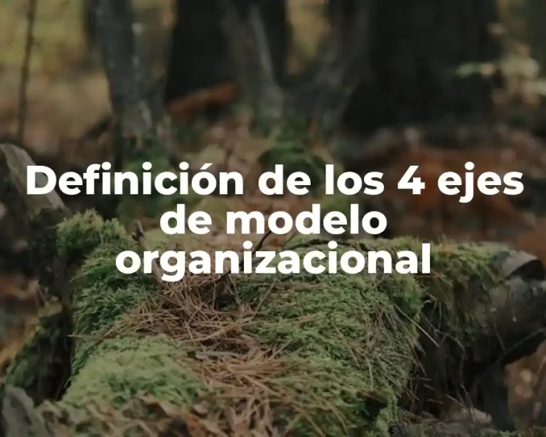Definición de los 4 ejes de modelo organizacional