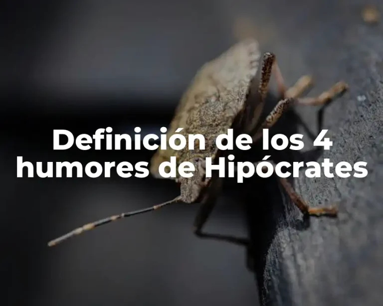 Definición de los 4 humores de Hipócrates