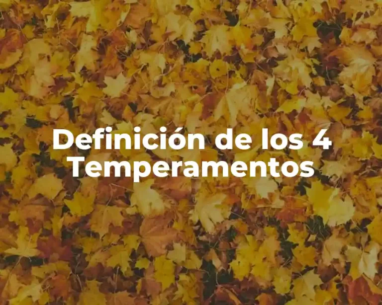 Definición de los 4 Temperamentos
