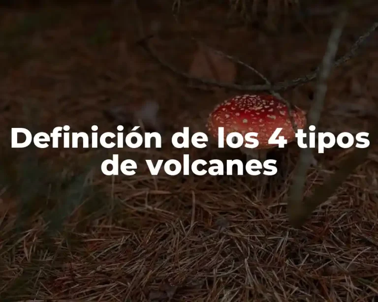 Definición de los 4 tipos de volcanes