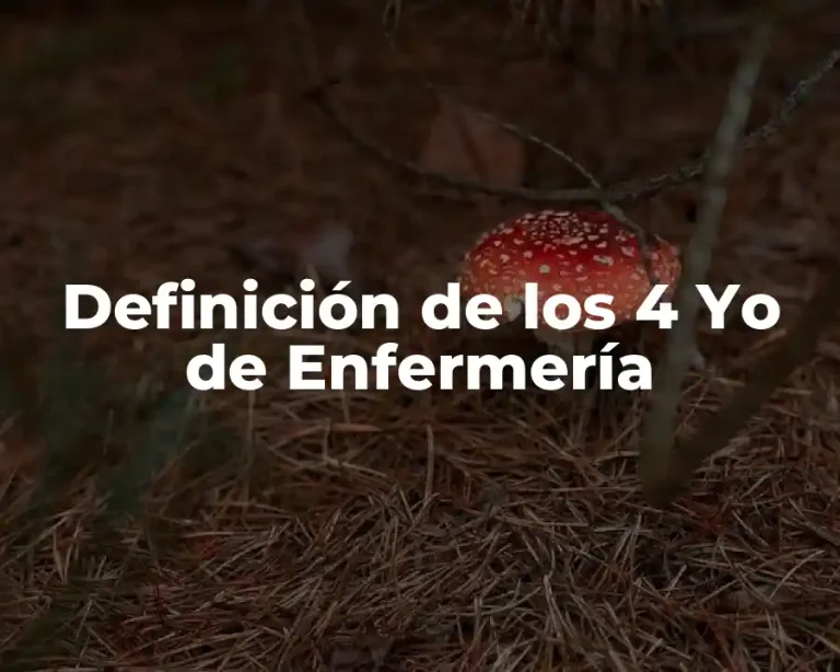 Definición de los 4 Yo de Enfermería