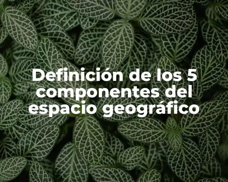 Definición de los 5 componentes del espacio geográfico