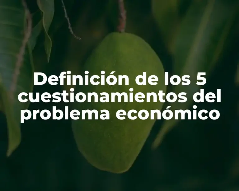 Definición de los 5 cuestionamientos del problema económico