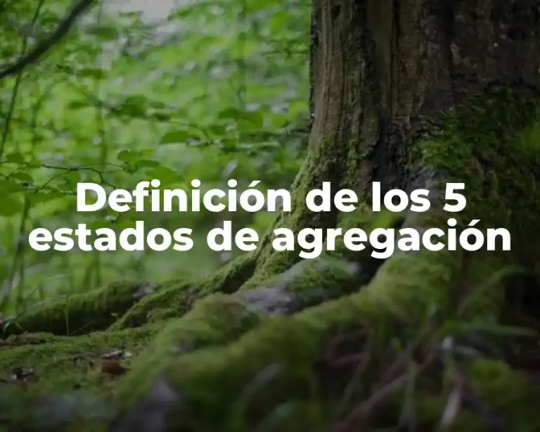 Definición de los 5 estados de agregación