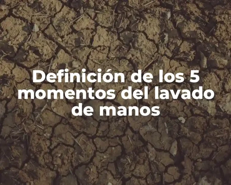 Definición de los 5 momentos del lavado de manos