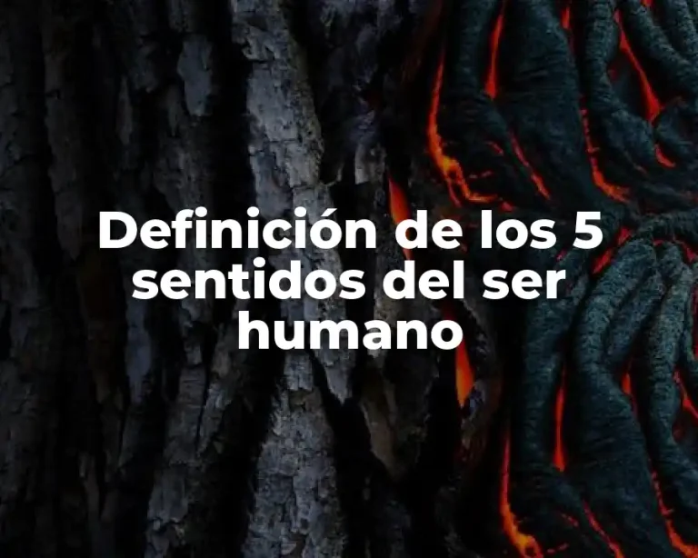 Definición de los 5 sentidos del ser humano