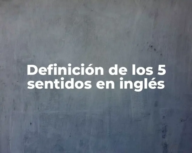 Definición de los 5 sentidos en inglés