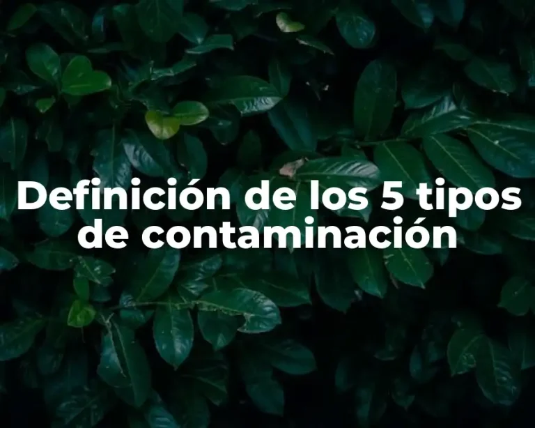 Definición de los 5 tipos de contaminación