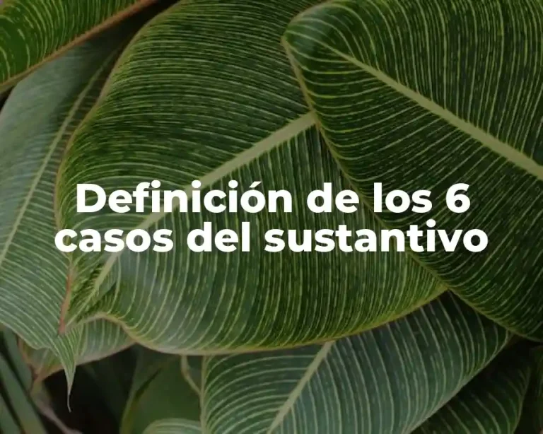 Definición de los 6 casos del sustantivo