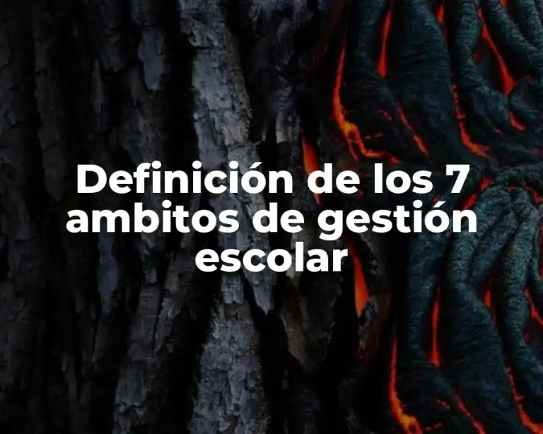 Definición de los 7 ambitos de gestión escolar