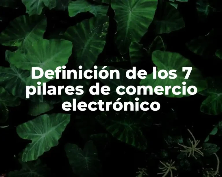 Definición de los 7 pilares de comercio electrónico