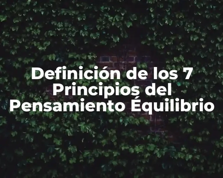 Definición de los 7 Principios del Pensamiento Équilibrio