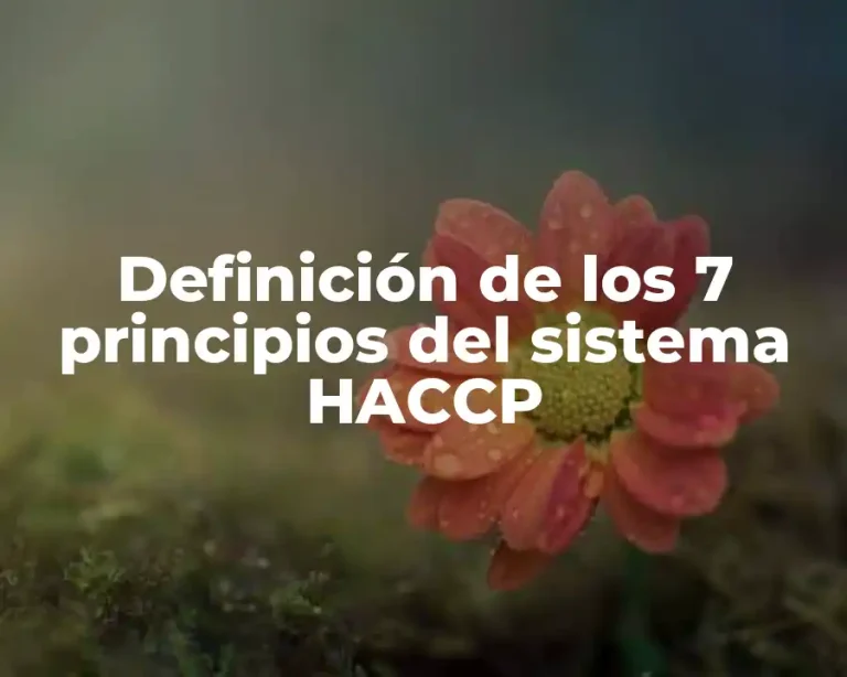 Definición de los 7 principios del sistema HACCP